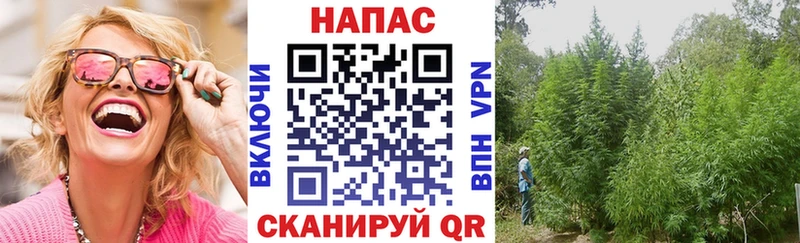 Все наркотики Тулун Канабис Амфетамин ГАШ МЕФ