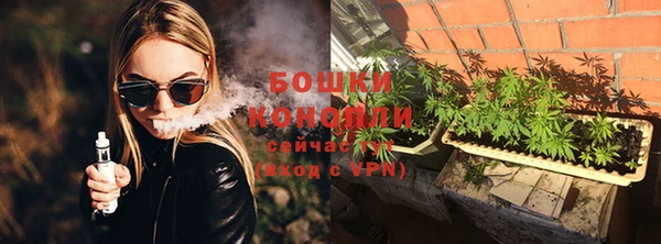 ПСИЛОЦИБИНОВЫЕ ГРИБЫ Алзамай