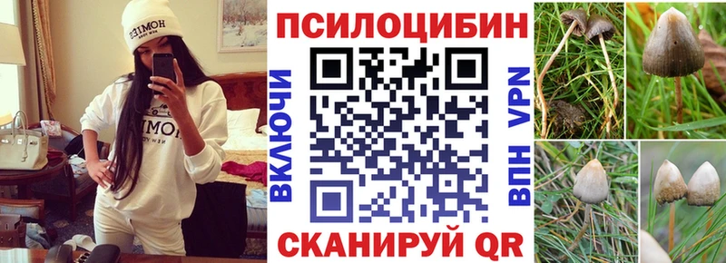 Псилоцибиновые грибы прущие грибы  Тулун 