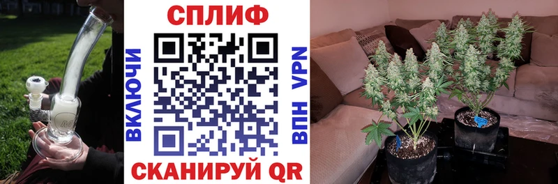 Марихуана White Widow  купить наркотики сайты  Тулун 